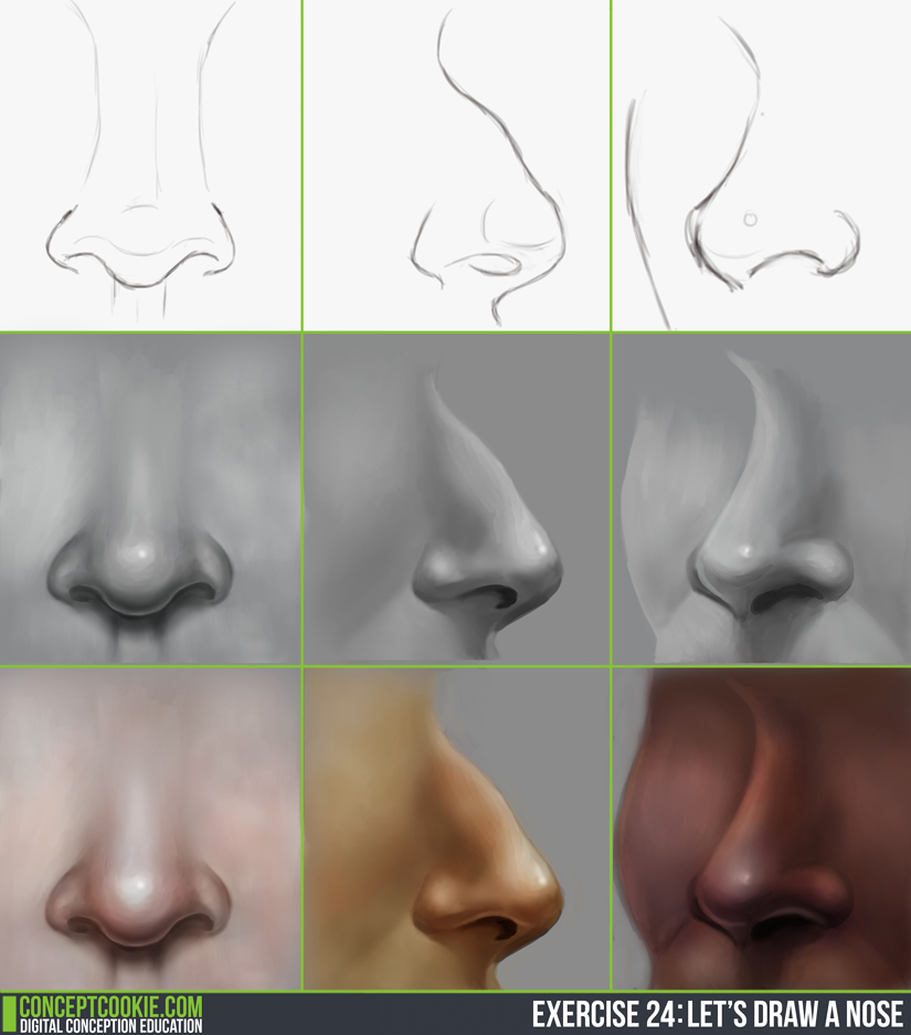 [Image: noses___daily_practice_by_olooriel-d86b2yp.jpg]