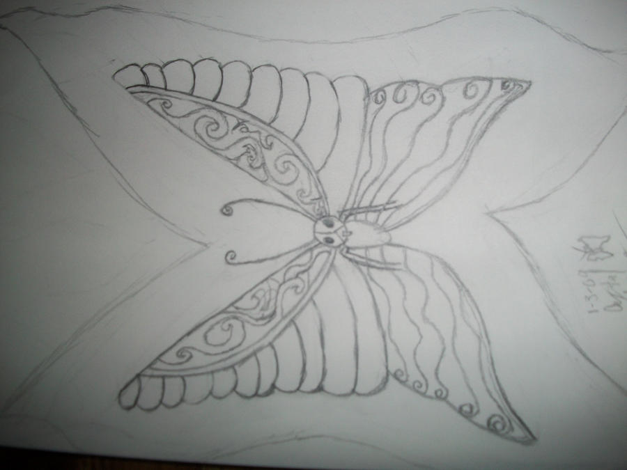 Butterfly Outline by