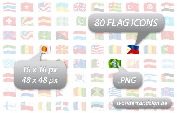 flags of the world border. 2010 World Flag Icons PNG