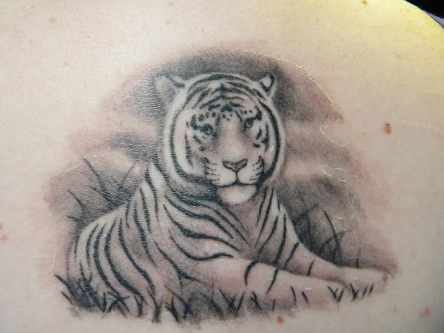 white tiger tattoo. tiger tattoos. My White Tiger