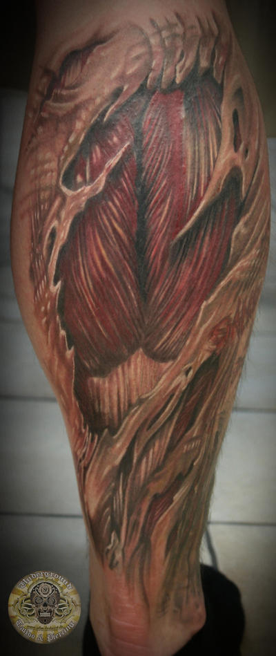muscle tissue calf healed by 2FaceTattoo on deviantART