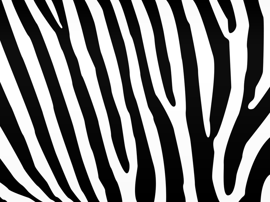 wallpaper zebra print. Youtube background print