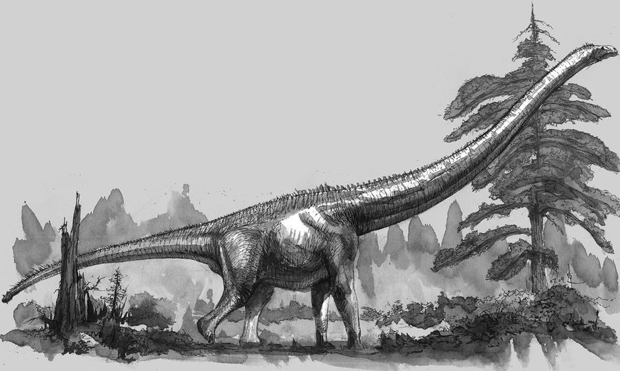 Mamenchisaurus constructus by cheungchungtat