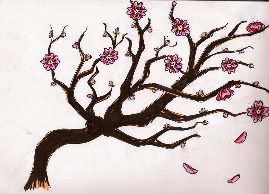 cherry blossom sketch by