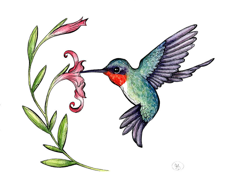 free animated hummingbird clipart - photo #21