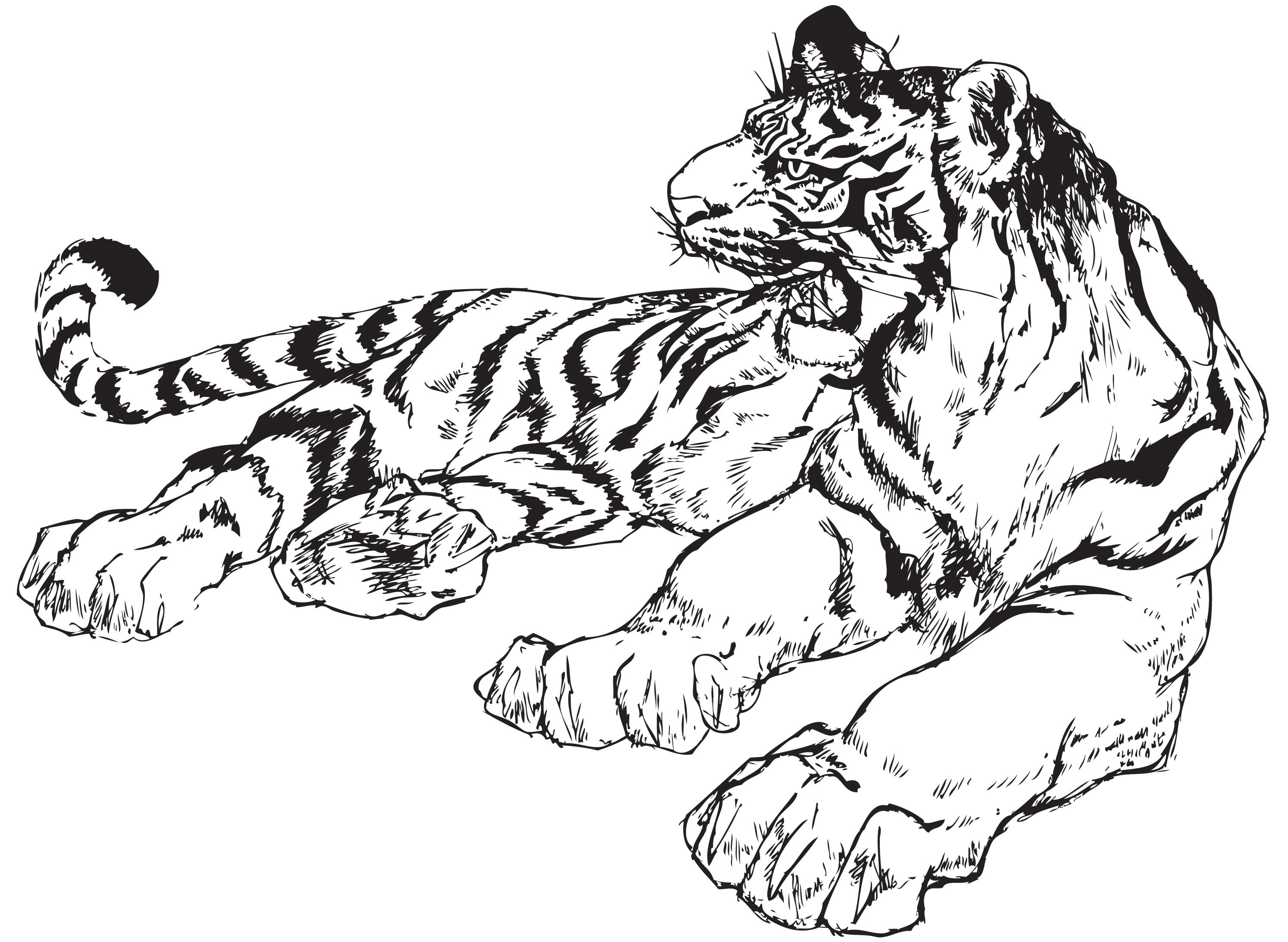 vector free download tiger - photo #35