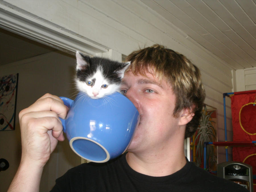 [Image: cup_of_kitty_by_madforhatters-d41qiz3.jpg]