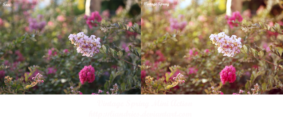 Vintage Spring Mini Action by liandries
