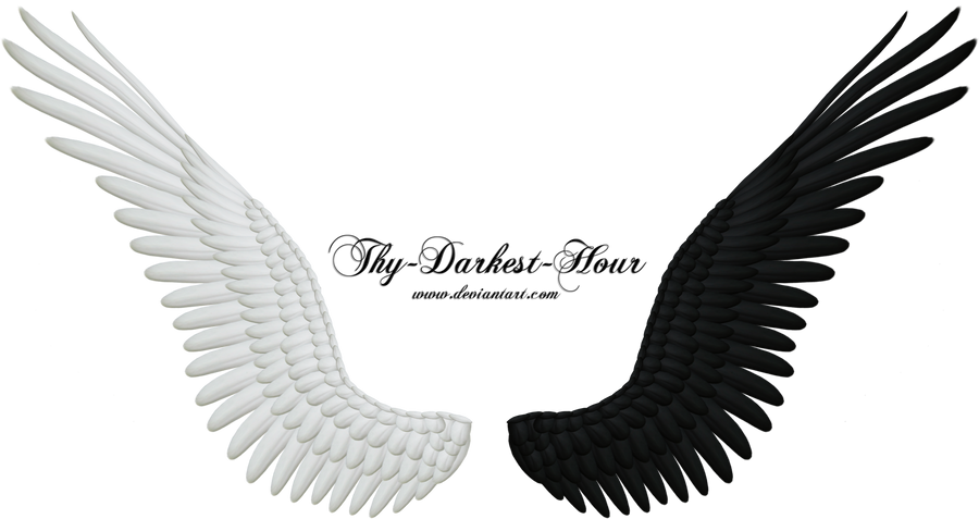good evil wings png 04   new large size by thy darkest hour d4gjjxz