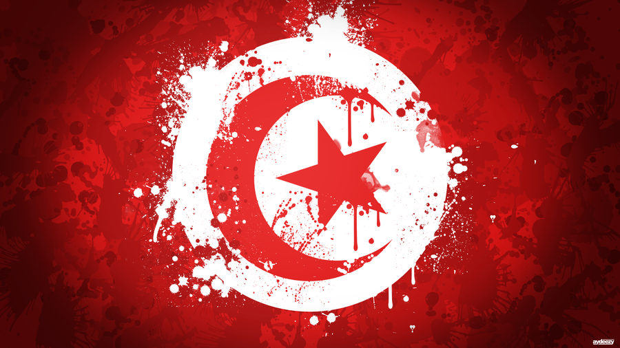 tunisian_flag_by_ay_deezy-d4l6ceu.png