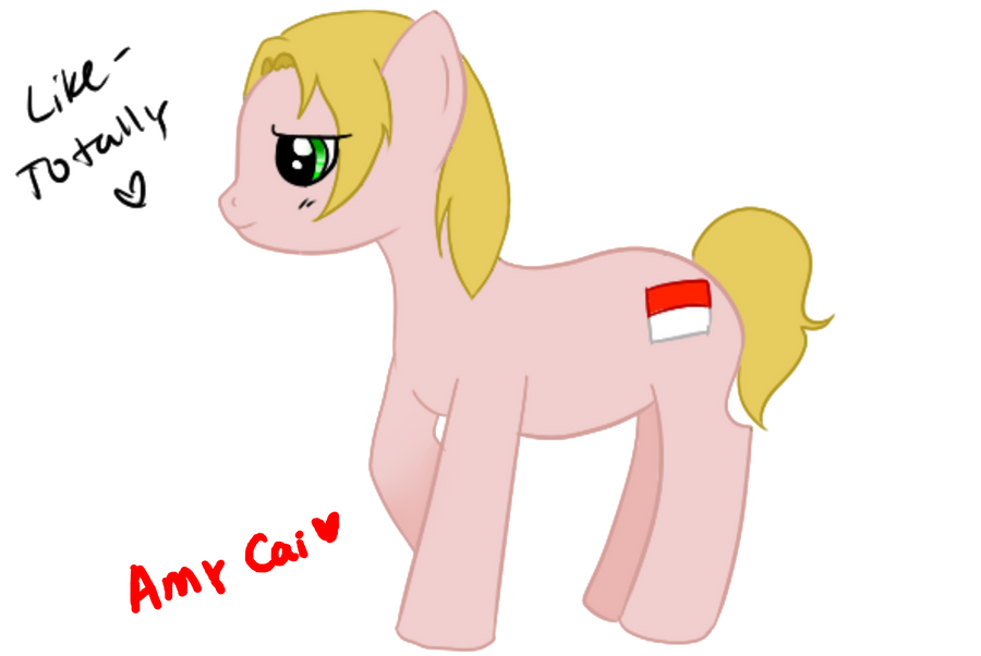 request_poland_pony_by_yinwa333-d4ttwlj.png