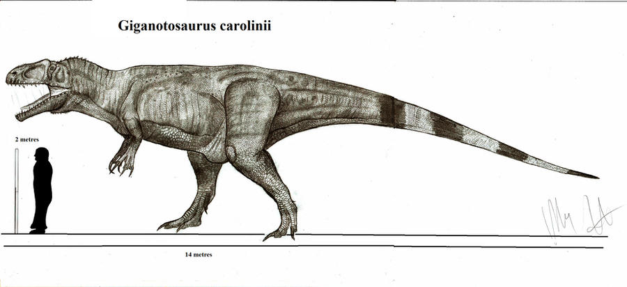 giganotosaurus_carolinii_by_teratophoneu