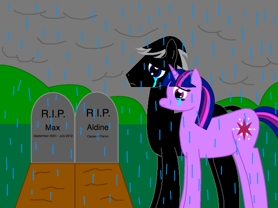 [Bild: in_memory_of_my_two_best_dogs__mlp_style...58iu0a.png]