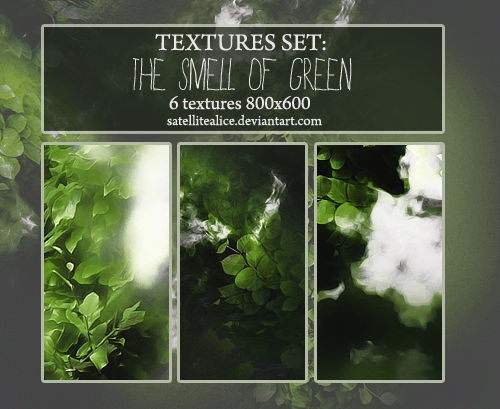 http://fc00.deviantart.net/fs71/i/2012/208/5/3/textures_set__the_smell_of_green_by_satellitealice-d58tgpv.png