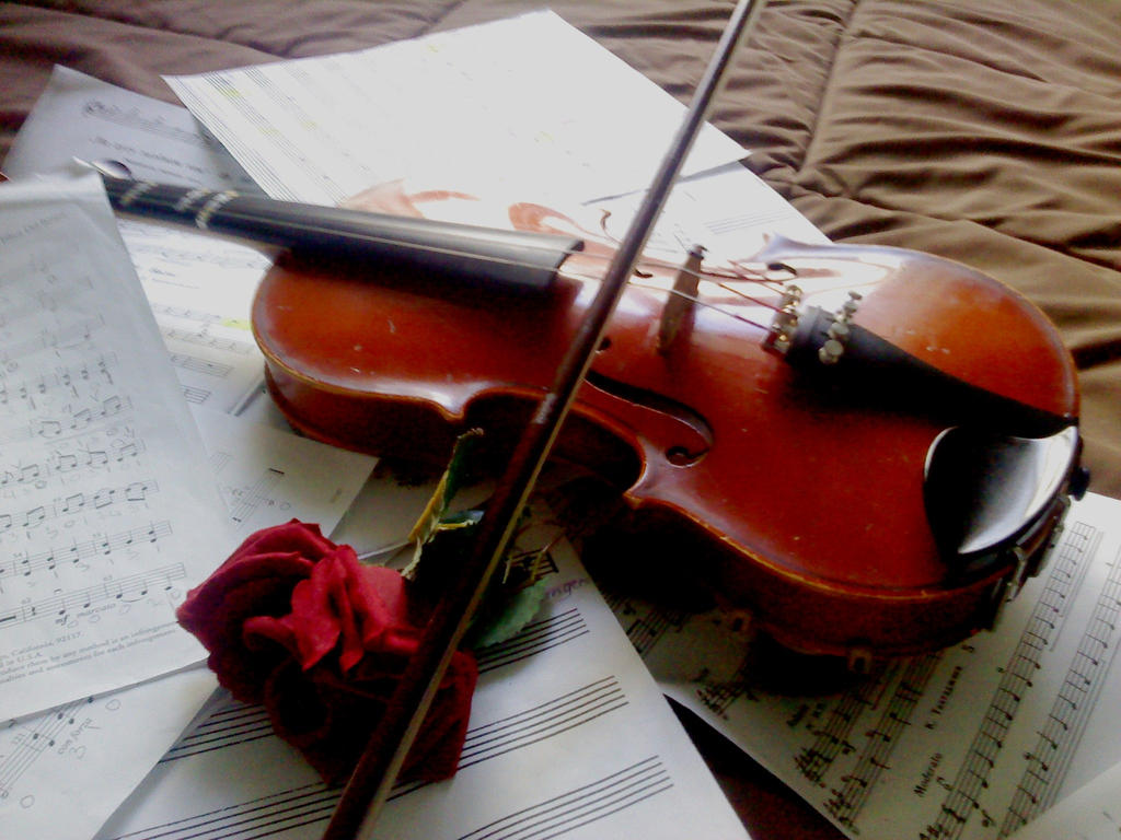 Violins and Roses by NonexistentGhost on DeviantArt