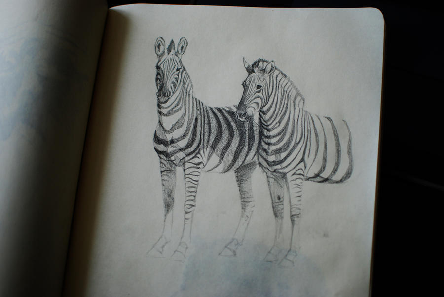 [Image: zebras_by_canoda-d5uoc0j.jpg]