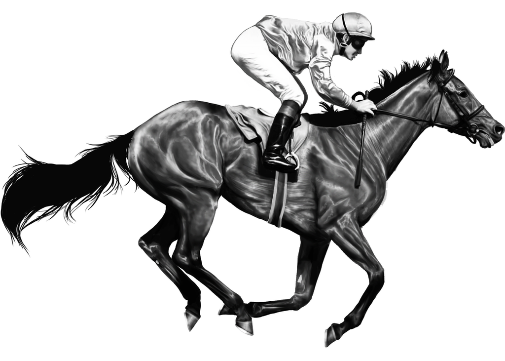 Image result for Race Horse Drawing