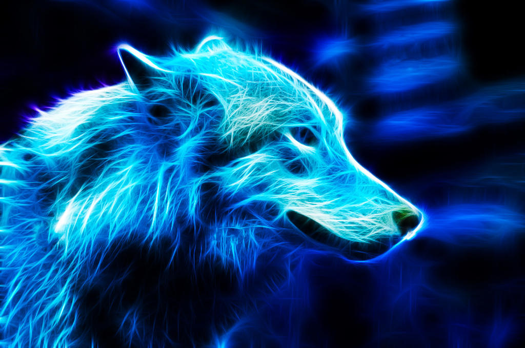 Blue Wolf By Ikyuvaliantvalentine On Deviantart