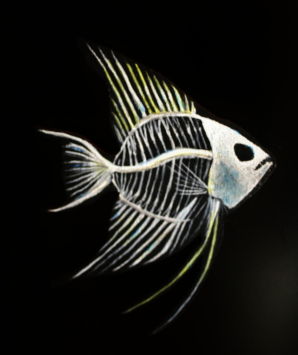 clip art fish skeleton - photo #46