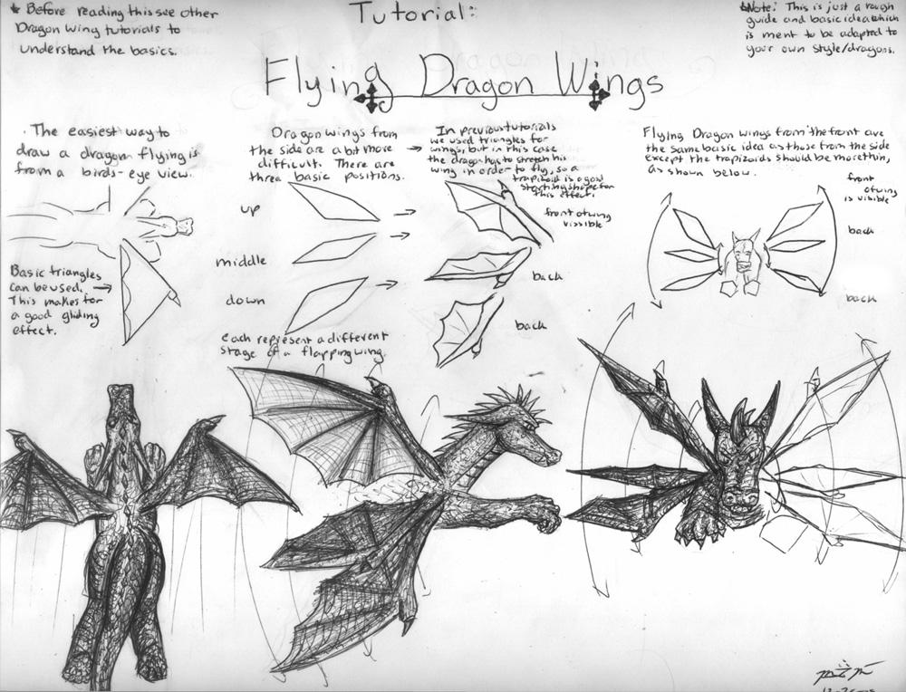 how to draw dragon head step by step. drawing wings Thenext step