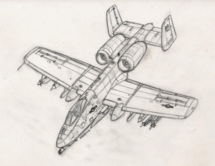 Warthog Coloring Pages