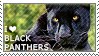 I love Black Panthers by WishmasterAlchemist