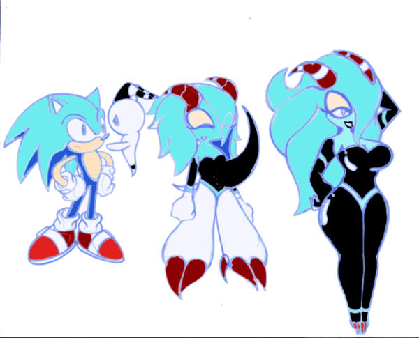 sonic into rouge tg