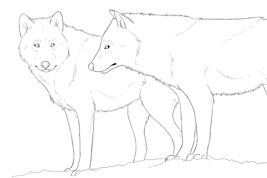 Two Wolves Coloring Pages 7