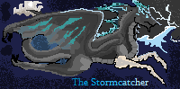 free_use_stormcatcher_banner_thing_by_dragonzfire95-d6chuy1.png