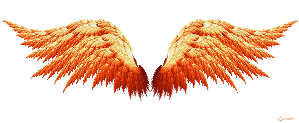 Fractal  Wing by luisbc