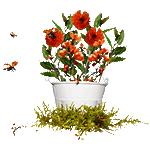 Flowers and Ladybugs by KmyGraphic