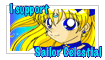 I Support Sailor Celestial-Stamp by YuniNaoki