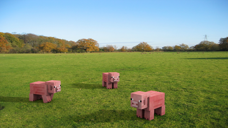 three_pigs_on_a_grass_field_by_mikes